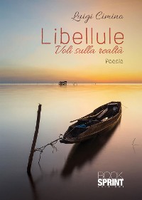 Cover Libellule - Voli sulla realtà