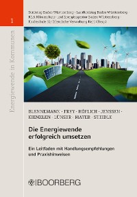 Cover Die Energiewende erfolgreich umsetzen