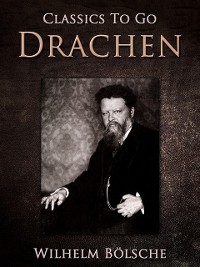 Cover Drachen