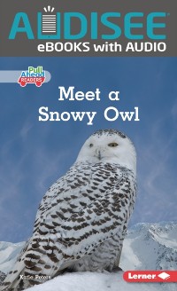 Cover Meet a Snowy Owl