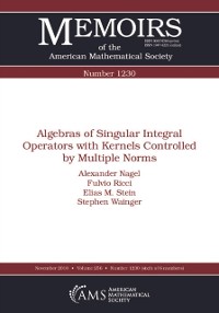 Cover Algebras of Singular Integral Operators with Kernels Controlled by Multiple Norms
