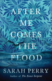 Cover After Me Comes the Flood