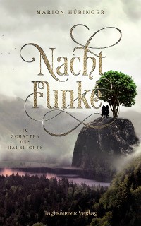Cover Nachtfunke 2