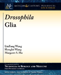 Cover Drosophila Glia