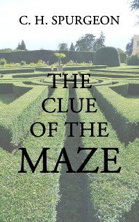Cover The Clue of the Maze