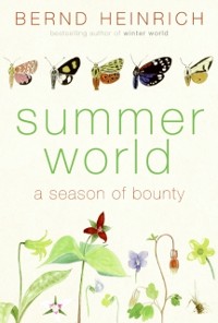 Cover Summer World
