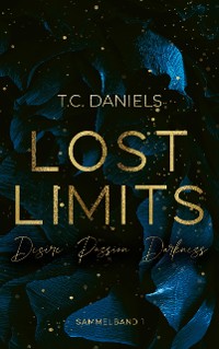 Cover Lost Limits - Desire Passion Darkness