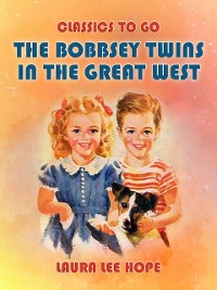 Cover Bobbsey Twins In The Great West