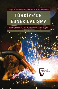 Cover Türkiye'de Esnek Çalışma