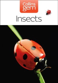 Cover GEM INSECTS EPUB ED NOT AU EB