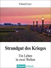 Cover Strandgut des Krieges