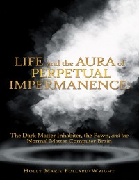 Cover Life and the Aura of Perpetual Impermanence: The Dark Matter Inhabiter, the Pawn, and the Normal Matter Computer Brain