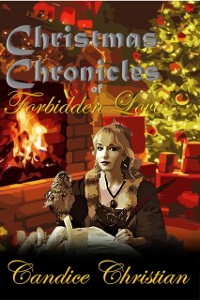 Cover Christmas Chronicles of Forbidden Love