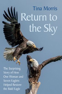 Cover Return to the Sky