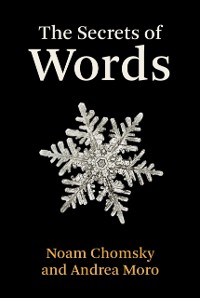 Cover Secrets of Words