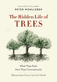 Cover The Hidden Life of Trees