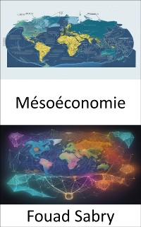 Cover Mésoéconomie