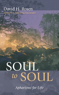 Cover Soul to Soul