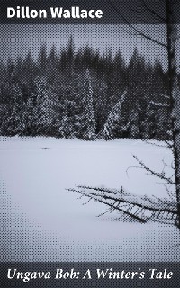 Cover Ungava Bob: A Winter's Tale