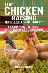 Cover Top Chicken Raising Questions for Beginners