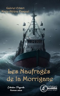 Cover Les naufragés de la Morrigane