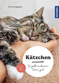 Cover Kätzchen