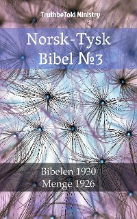 Cover Norsk-Tysk Bibel №3