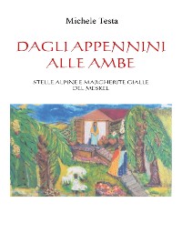 Cover Dagli Appennini alle Ambe ( Stelle Alpine e Margherite gialle del Meskel )