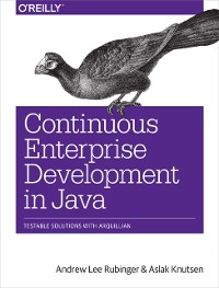 Cover Continuous Enterprise Development in Java