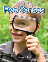 Cover Five Senses