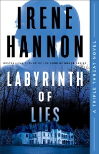 Cover Labyrinth of Lies (Triple Threat Book #2)
