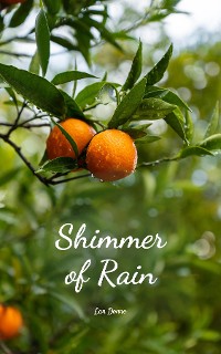 Cover Shimmer of Rain