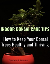 Cover Indoor Bonsai Care Tips