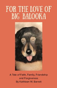Cover FOR THE LOVE OF BIG BALOOKA