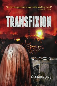 Cover Transfixion
