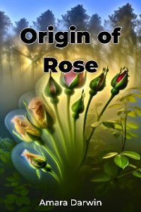 Cover Origin of Rose