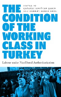 Cover The Condition of the Working Class in Turkey