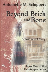 Cover Beyond Brick and Bone