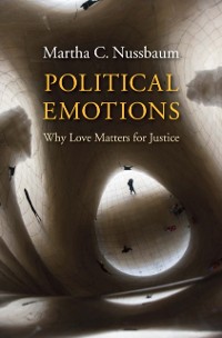 Cover Political Emotions