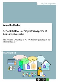 Cover Schnittstellen im Projektmanagement bei Einzelvergabe