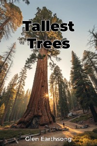 Cover Tallest Trees