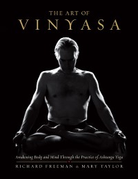 Cover Art of Vinyasa