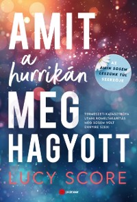 Cover Amit a hurrikan meghagyott