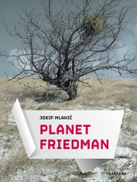 Cover Planet Friedman
