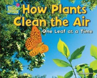 Cover How Plants Clean the Air