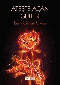 Cover Ateste Acan Guller