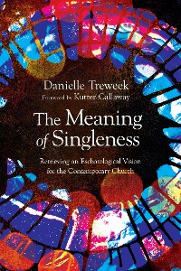 Cover The Meaning of Singleness