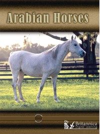 Cover Arabian Horses