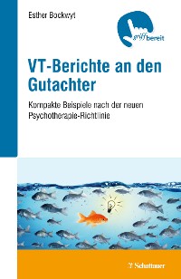 Cover VT-Berichte an den Gutachter