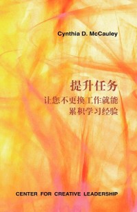 Cover Developmental Assignments: Creating Learning Experiences Without Changing Jobs (Chinese)